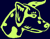 chinese dog
