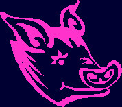 Chinese horoscopes 2008 pig