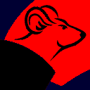Chinese rat