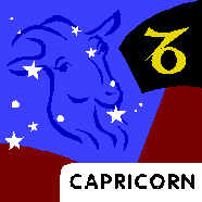 Capricorn horoscope 2008