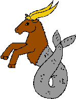 capricorn horoscope 2008