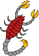 scorpio horoscope 2008
