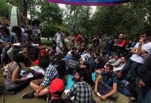 Turkey park protest
